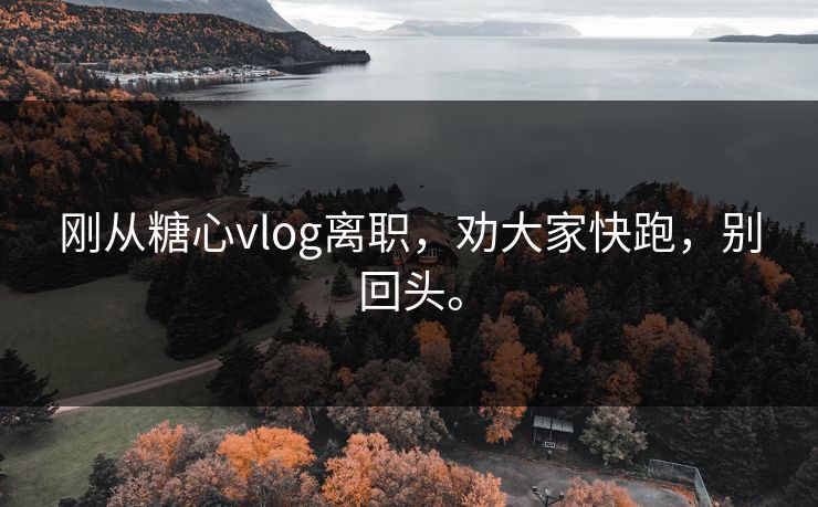 刚从糖心vlog离职，劝大家快跑，别回头。